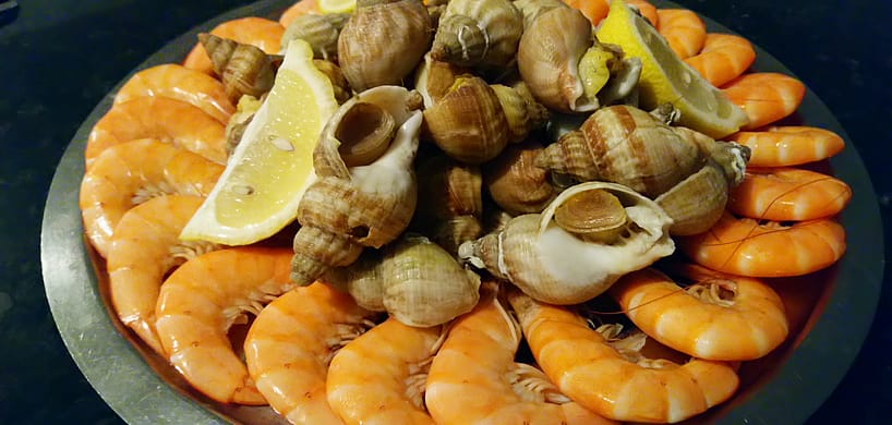 entrées et plats pour mariage et réception à Mâcon 71000